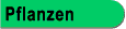 Motiv Pflanzen